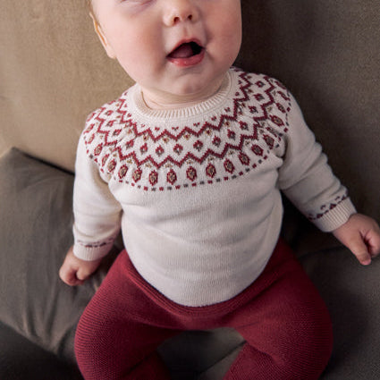 Newborn Boy Pants and Sweater Set Plum