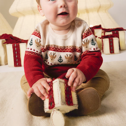 Newborn Boy Pants and Sweater Set Red