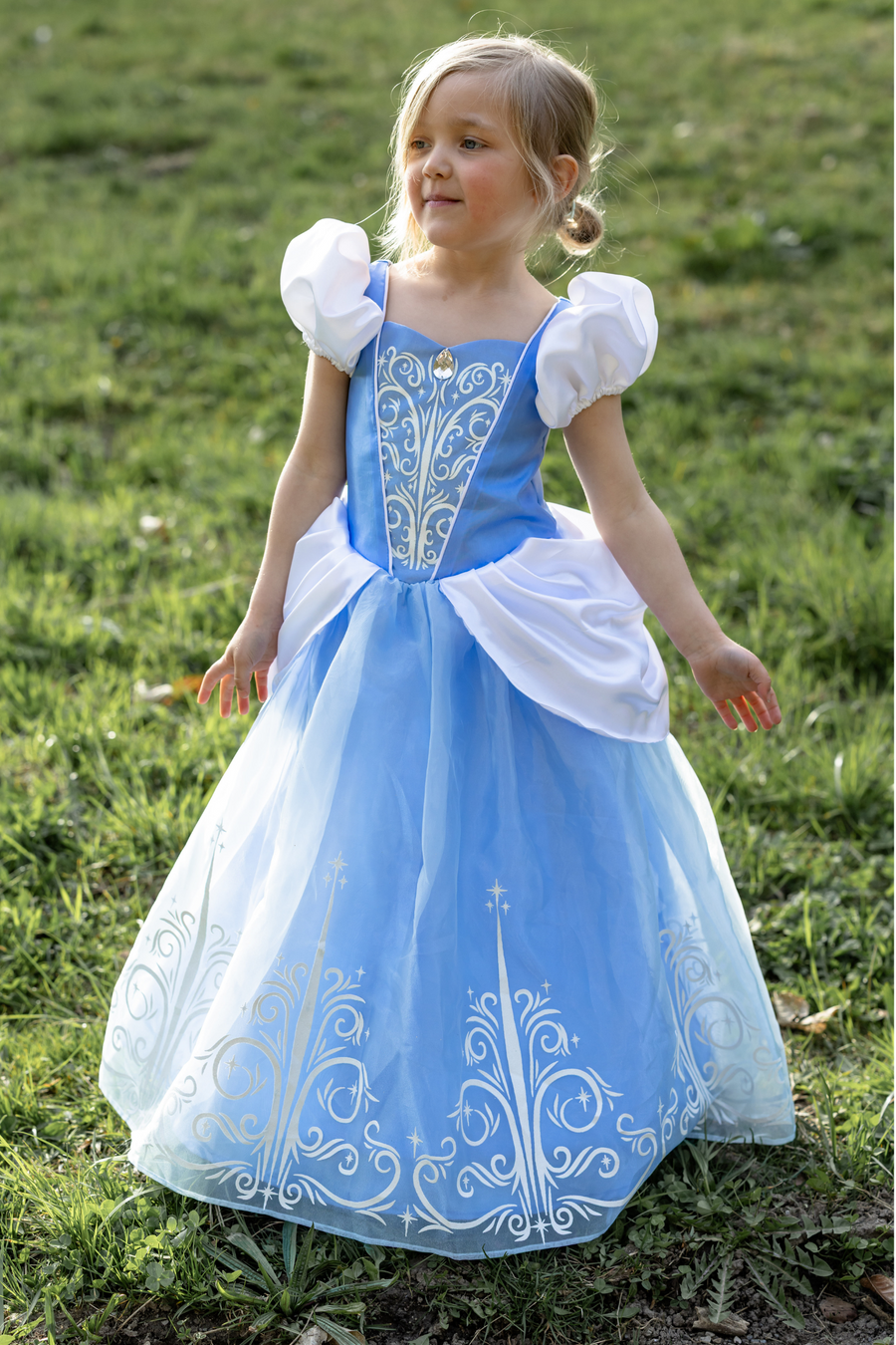 Once Upon a Princess Cinderella Dress