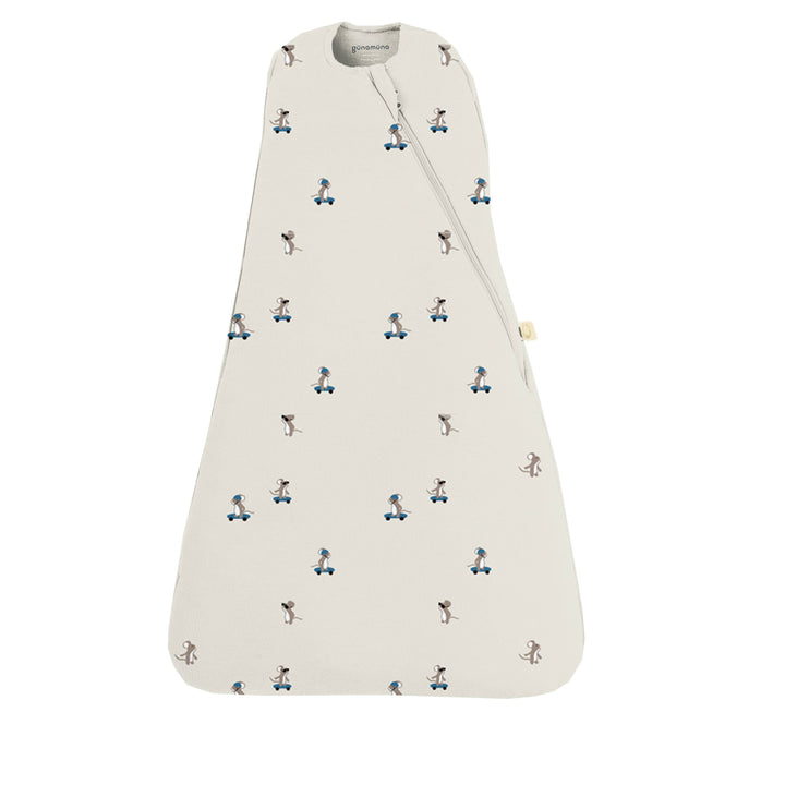 Sleep Bag Swaddle, Arms in or Out!