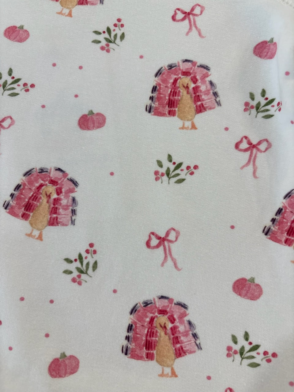 Campbell Crewneck- Gobble Gobble Pink