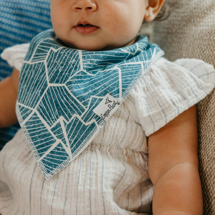 Arctic Wonder Bandana Bib Set (4-Pack)