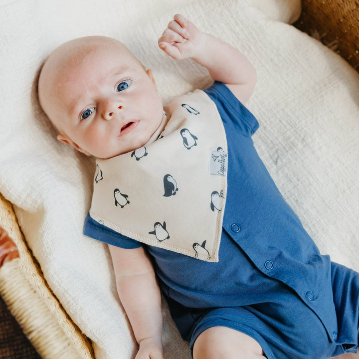 Arctic Wonder Bandana Bib Set (4-Pack)