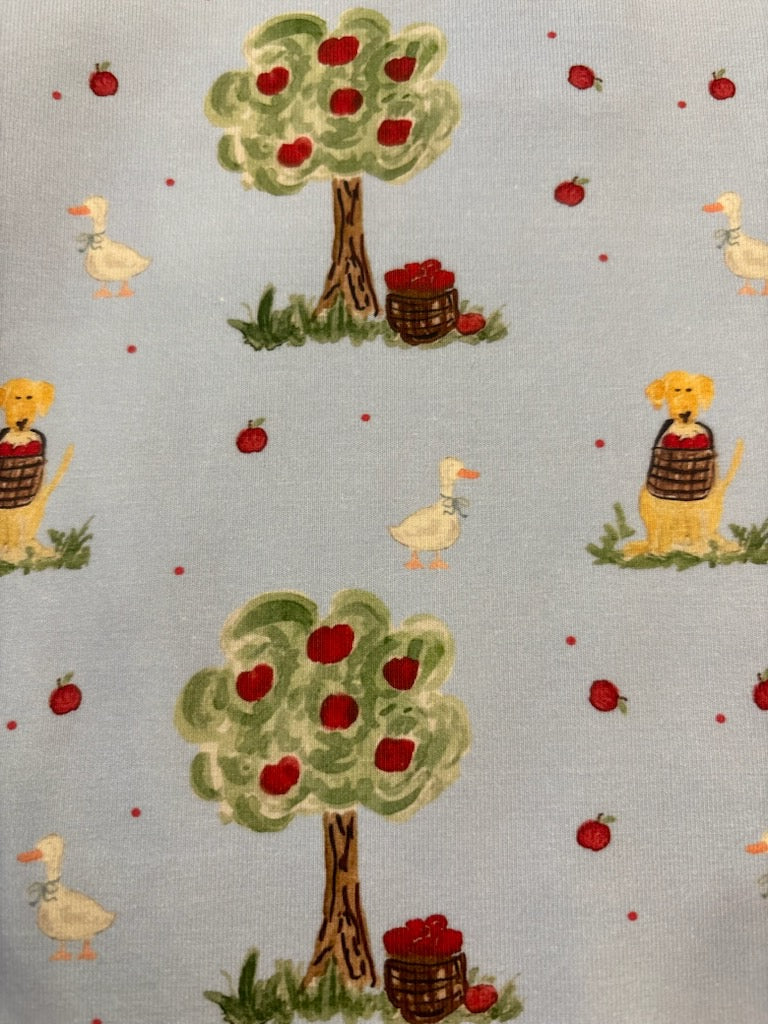 Charlotte Play Dress- Mansfield Orchards
