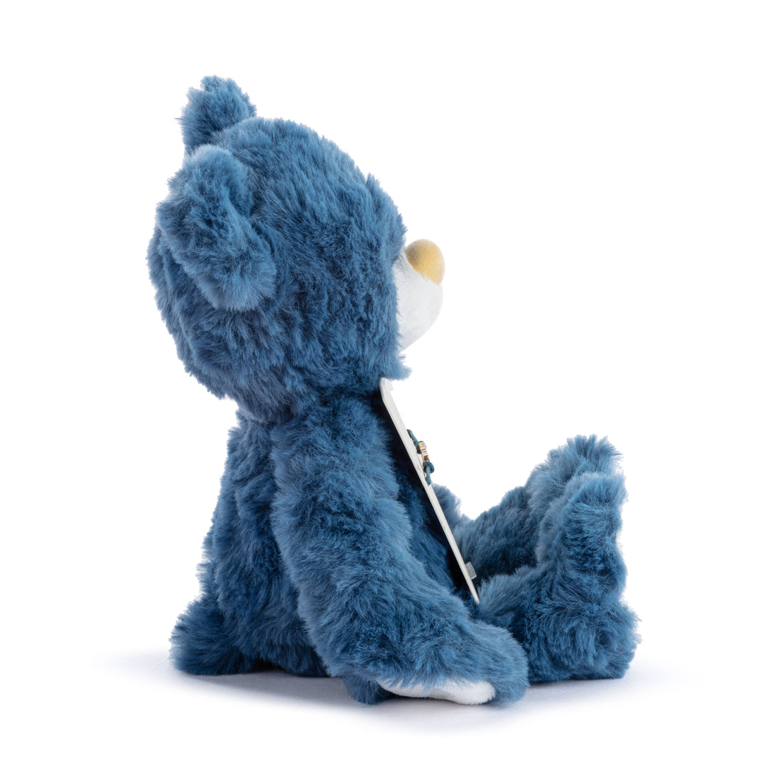 Big Brother Navy Bear - 8in