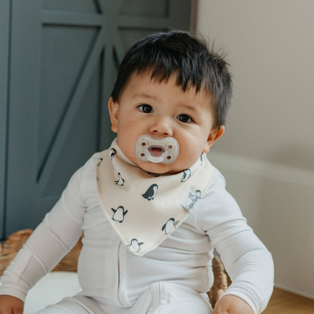 Arctic Wonder Bandana Bib Set (4-Pack)