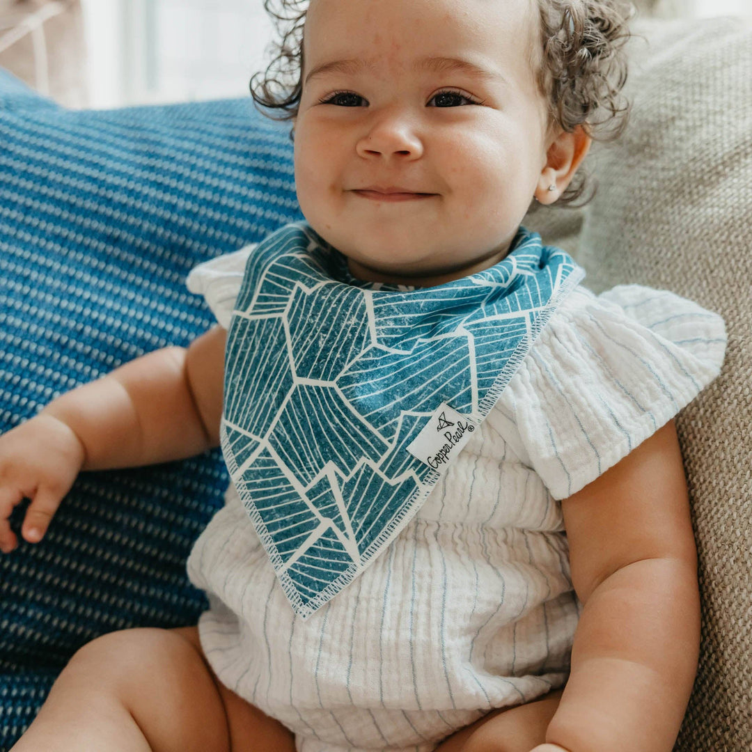 Arctic Wonder Bandana Bib Set (4-Pack)