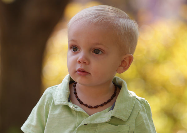 Amber Teething Necklace
