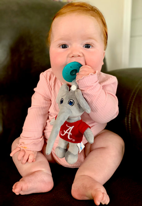 The University of Alabama - Big Al
