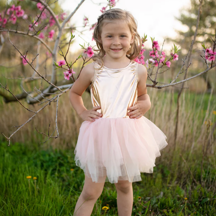 Ballet Tutu Dress (multiple colors available)