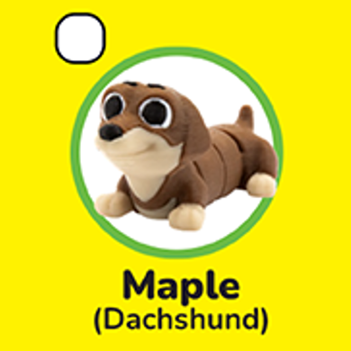 Small Wigglitz