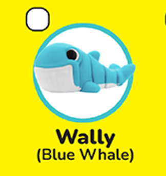 Small Wigglitz