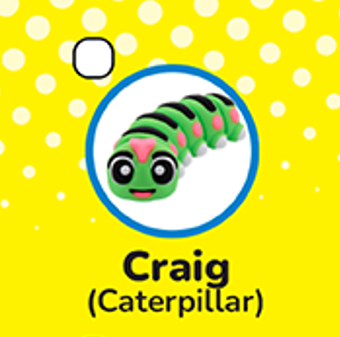 Small Wigglitz