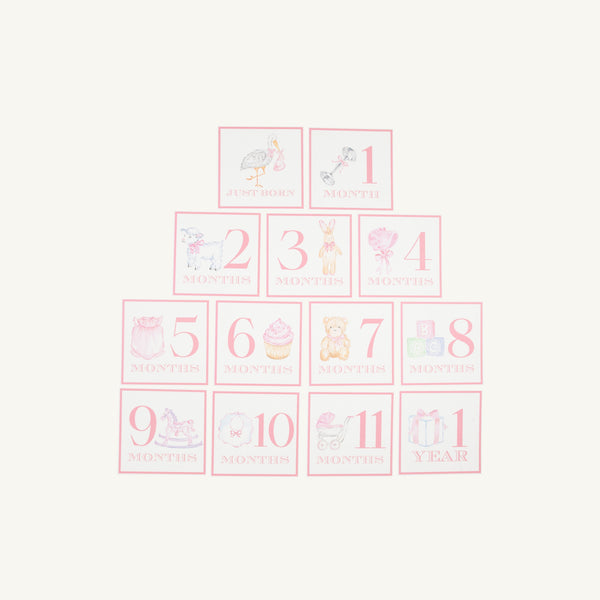 Sir Propers Month Markers - Palm Beach Pink