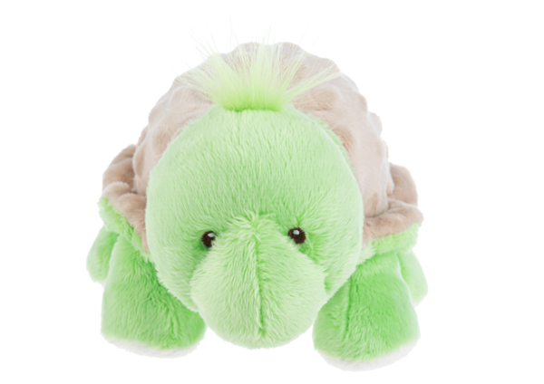 Shellbie Turtle w/ Rattle