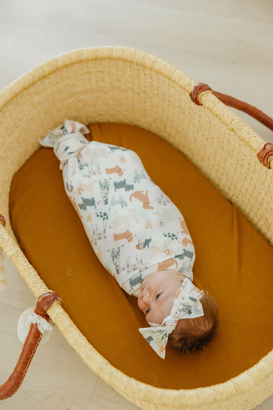 Rufus Knit Blanket Single
