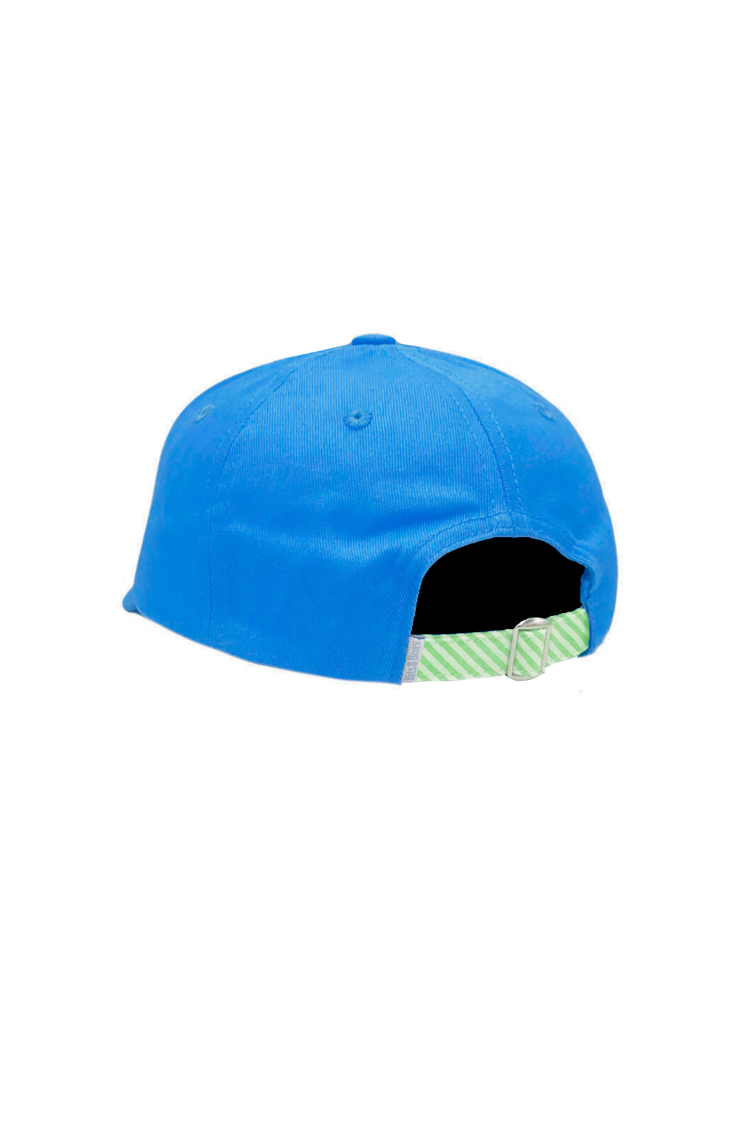 T-Rex Dinosaur Baseball Hat