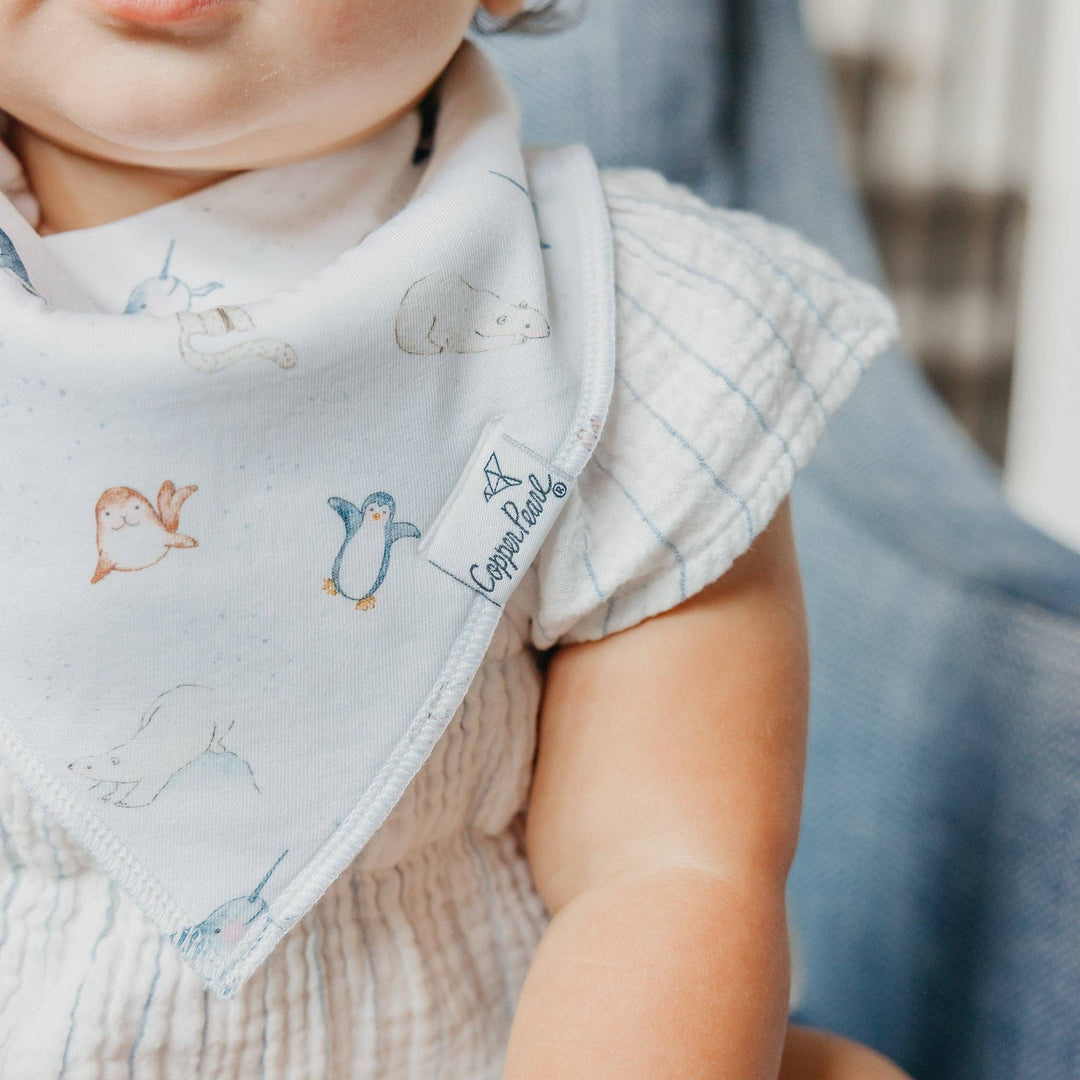 Arctic Wonder Bandana Bib Set (4-Pack)