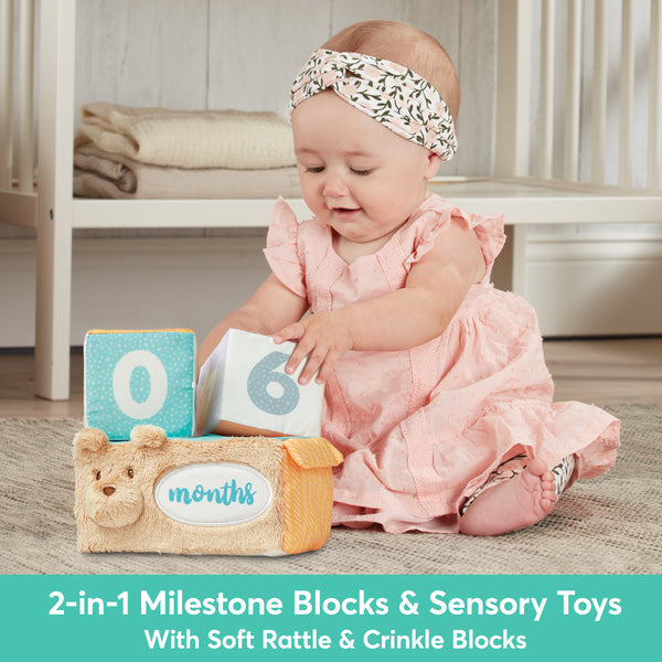 Milestones &amp; Moments Block Set