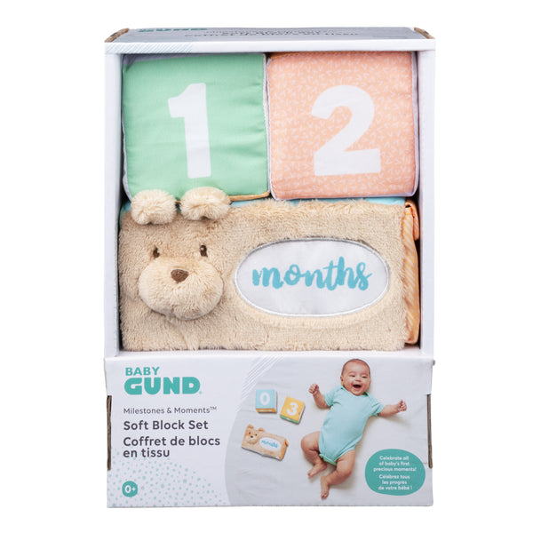 Milestones &amp; Moments Block Set