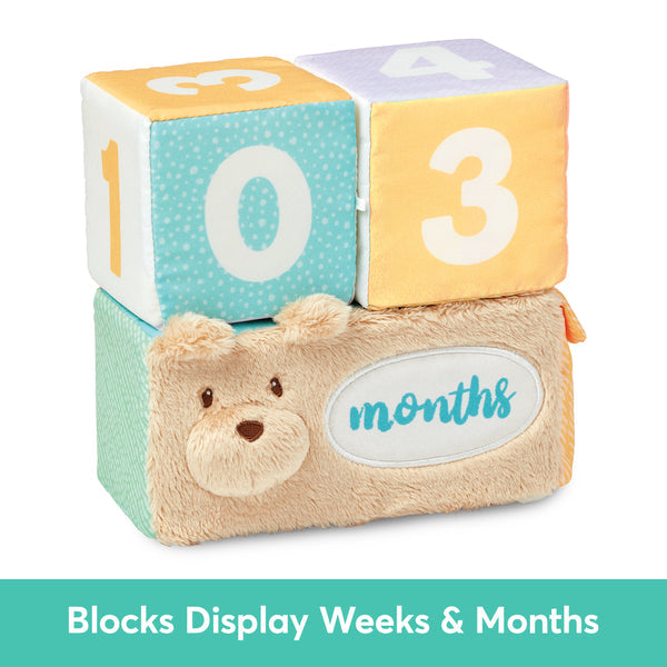 Milestones &amp; Moments Block Set
