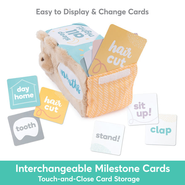 Milestones &amp; Moments Block Set