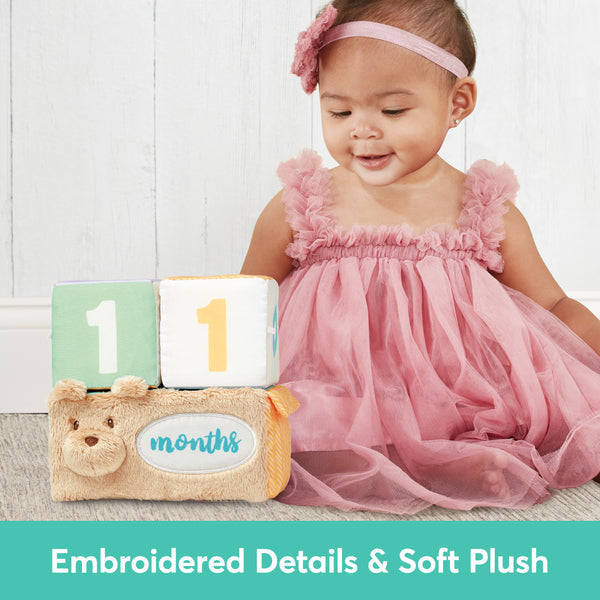 Milestones &amp; Moments Block Set