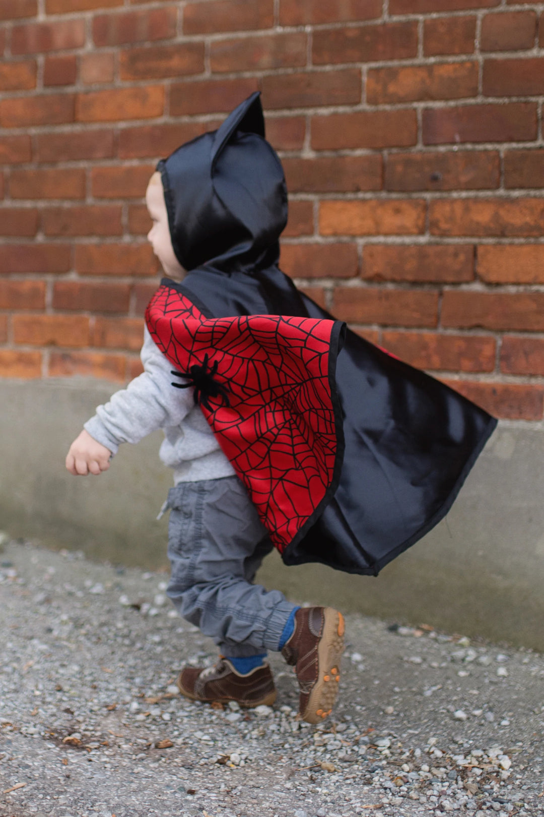 Reversible Spider Bat Cape