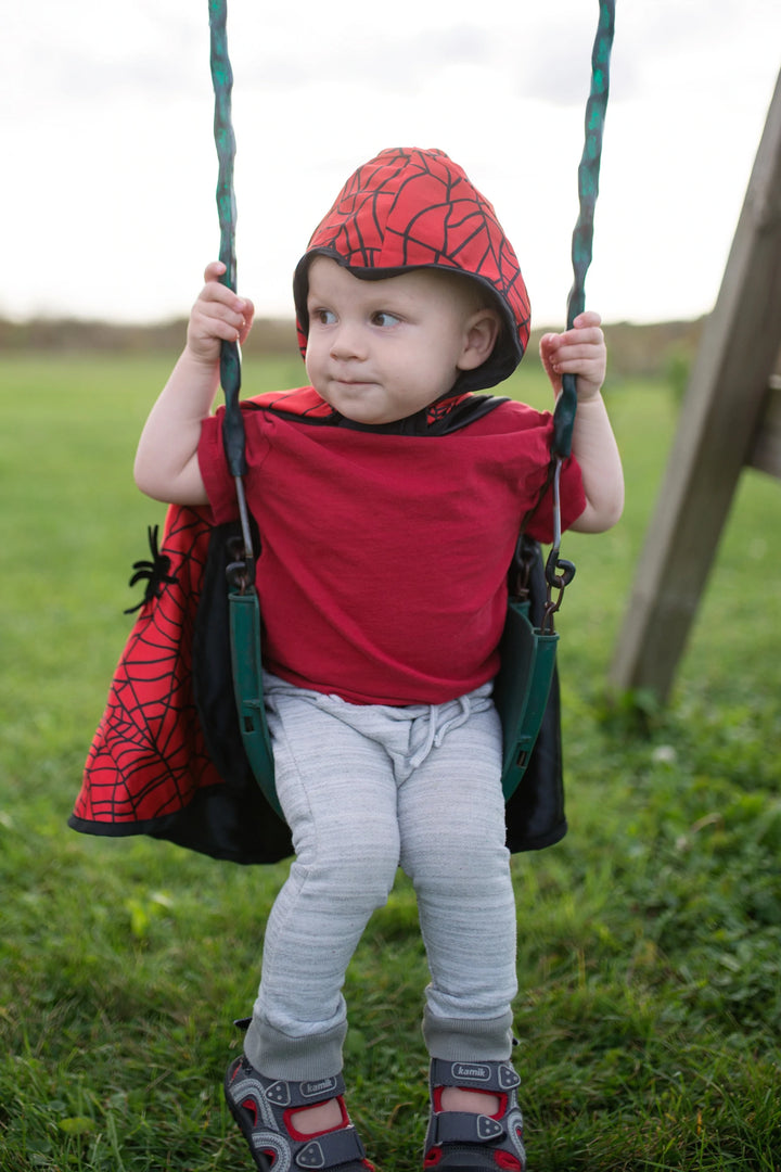 Reversible Spider Bat Cape