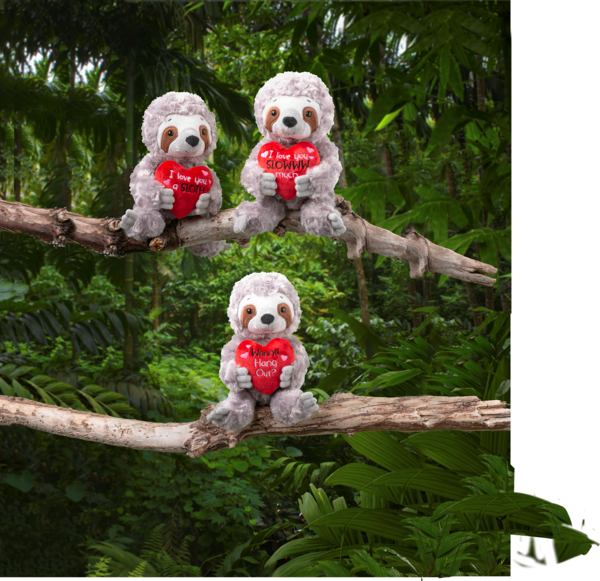 Valentines Sloth 3 different cute love grams