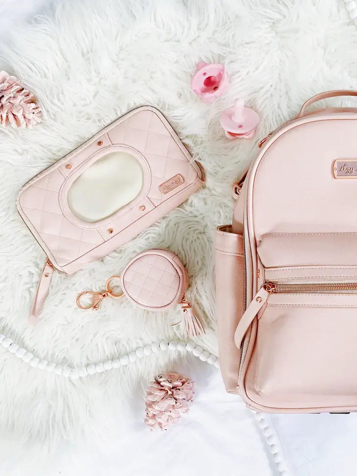 Travel Wipes Case