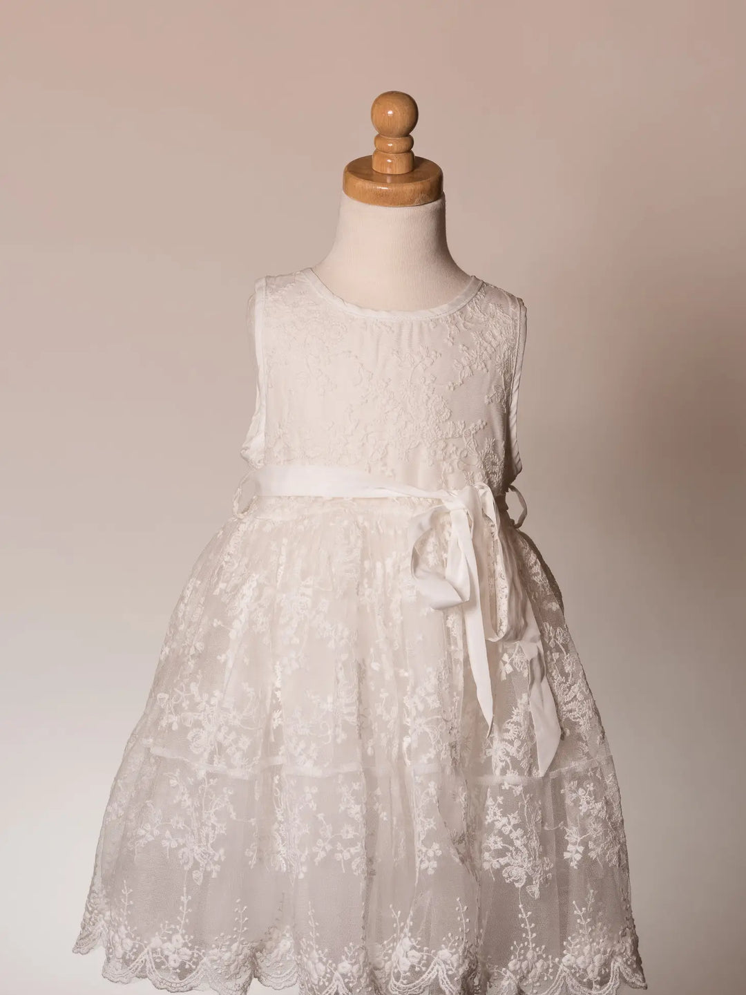Lace Overlay Vintage Princess Dress
